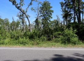 35+/-  Acres of Hunting & Recreational Property in Cumberland County, NC!