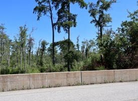 35+/-  Acres of Hunting & Recreational Property in Cumberland County, NC!