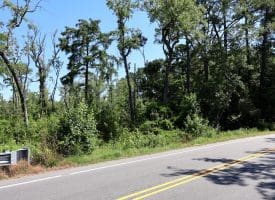 35+/-  Acres of Hunting & Recreational Property in Cumberland County, NC!