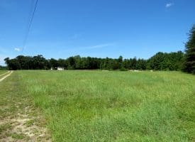 53+/- Acres of Recreational and Residential Land For Sale in Robeson County, NC!