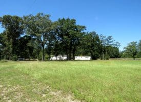 53+/- Acres of Recreational and Residential Land For Sale in Robeson County, NC!
