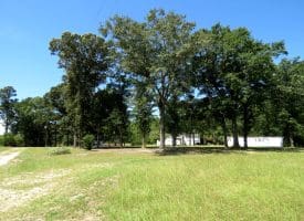 53+/- Acres of Recreational and Residential Land For Sale in Robeson County, NC!