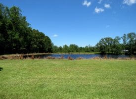 53+/- Acres of Recreational and Residential Land For Sale in Robeson County, NC!