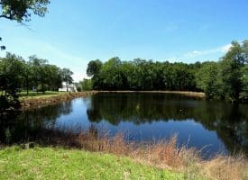 53+/- Acres of Recreational and Residential Land For Sale in Robeson County, NC!