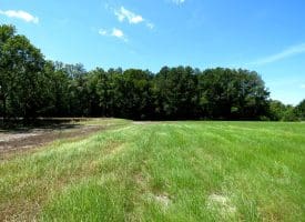 53+/- Acres of Recreational and Residential Land For Sale in Robeson County, NC!