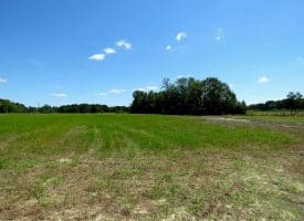 53+/- Acres of Recreational and Residential Land For Sale in Robeson County, NC!