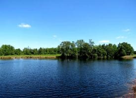 53+/- Acres of Recreational and Residential Land For Sale in Robeson County, NC!