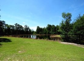53+/- Acres of Recreational and Residential Land For Sale in Robeson County, NC!