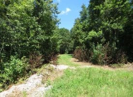 53+/- Acres of Recreational and Residential Land For Sale in Robeson County, NC!