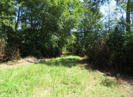 53+/- Acres of Recreational and Residential Land For Sale in Robeson County, NC!