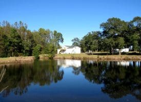 53+/- Acres of Recreational and Residential Land For Sale in Robeson County, NC!