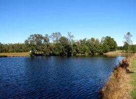 53+/- Acres of Recreational and Residential Land For Sale in Robeson County, NC!