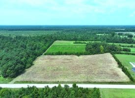 5+/- Acre Mini Farm for Sale in Horry County, SC