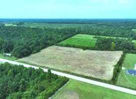 5+/- Acre Mini Farm for Sale in Horry County, SC