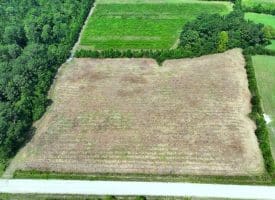 5+/- Acre Mini Farm for Sale in Horry County, SC