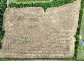 5+/- Acre Mini Farm for Sale in Horry County, SC