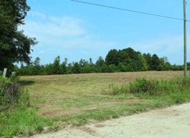 5+/- Acre Mini Farm for Sale in Horry County, SC