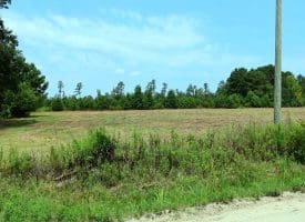 5+/- Acre Mini Farm for Sale in Horry County, SC