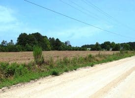 5+/- Acre Mini Farm for Sale in Horry County, SC
