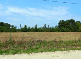5+/- Acre Mini Farm for Sale in Horry County, SC