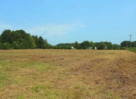 5+/- Acre Mini Farm for Sale in Horry County, SC
