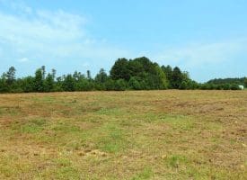 5+/- Acre Mini Farm for Sale in Horry County, SC
