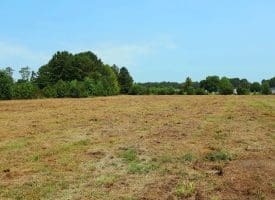 5+/- Acre Mini Farm for Sale in Horry County, SC