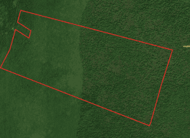 1070+/- Acres of Hunting Land For Sale in Pender County, NC!